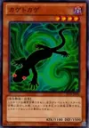 Product image for Kagetokage
