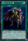 Product image for The Warrior Returning Alive
