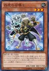 Product image for White Tiger Summoner