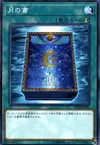 Product image for Book of Moon