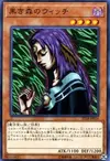 Product image for Witch of the Black Forest