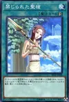 Product image for Forbidden Lance