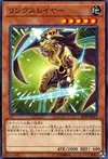 Product image for Linkslayer