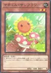 Product image for Tournesol Naturia