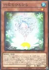 Product image for Pétale Rikka