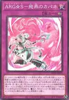 Product image for Argostars - Swift Capane