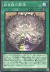 Product image for Sinful Spoils of the White Forest