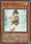 Product image for Lucky Pied Piper