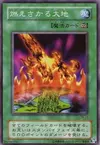Product image for Burning Land
