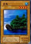 Product image for Island Turtle