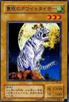 Product image for The All-Seeing White Tiger