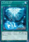 Product image for Metamorformation