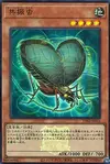 Product image for Resonance Insect