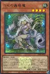 Product image for Traptrix Genlisea