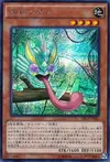 Product image for Masked Chameleon