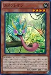 Product image for Masked Chameleon