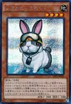 Product image for Rescue Rabbit