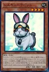 Product image for Rescue Rabbit