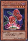 Product image for Revival Rose