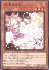 Product image for Ash Blossom & Joyous Spring