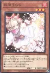 Product image for Ash Blossom & Joyous Spring