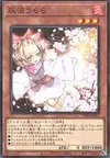 Product image for Ash Blossom & Joyous Spring