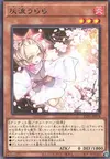 Product image for Ash Blossom & Joyous Spring