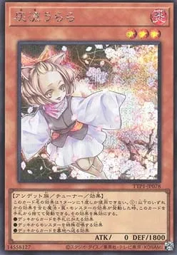 Ash Blossom & Joyous Spring — Tactical-Try Pack: Dark Magic / HERO / Mikanko — Yu-Gi-Oh! OCG