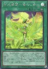 Product image for Mikanko Dance - Mayowashidori
