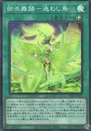 Product image for Mikanko Dance - Mayowashidori