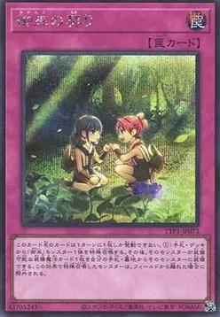 Mikanko Promise — Tactical-Try Pack: Dark Magic / HERO / Mikanko — Yu-Gi-Oh! OCG