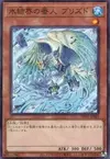 Product image for Blizzed, Defender of the Ice Barrier