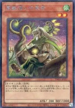 Ritual Beast Tamer Elder — Terminal World — Yu-Gi-Oh! OCG