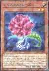 Product image for Crystal Rose