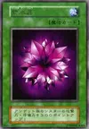 Product image for Violet Crystal