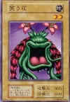 Product image for Laughing Flower