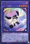 Product image for Chorozo Magistus