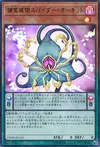 Product image for Orchidée Araignée Prédaplante