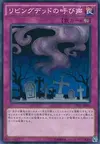 Product image for Call of the Haunted