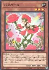 Product image for Fille de la Rose