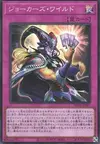 Product image for Joker's Wild