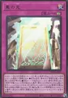 Product image for True Light