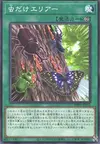 Product image for Insect Invitation