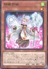 Product image for Phalaenop Sisters