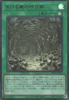 Product image for Call of the Forgotten