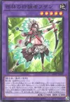 Product image for Faisan, Hunting Scout of the Deep Forest