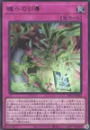 Product image for Final Journey of the Soul