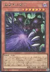 Product image for King of Yamimado