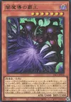 Product image for King of Yamimado