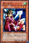 Product image for Princess of Tsurugi